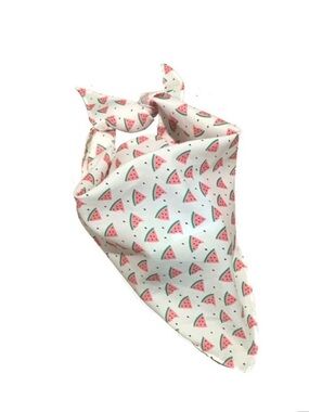 NWOT Pet Bandana - Watermelon Print